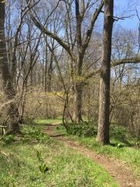 Luckenbach Trail